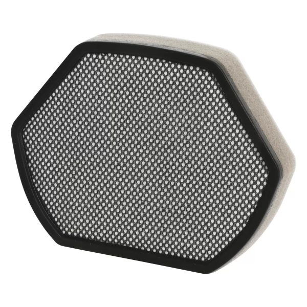 Elektrikli süpürge motor filtresi BSCH ile uyumlu HG12012937